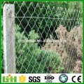 24 YEARS Factory Galvanized Chain Link Fence/PVC Coated Chain Link Fence /Electro Galvanized Iron Fence